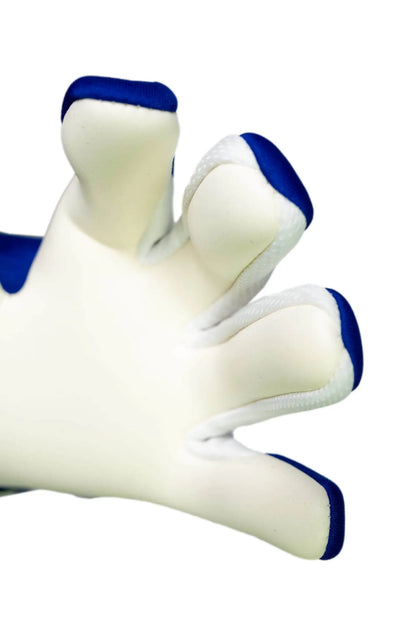 Reusch Fastgrip Advance Goalkeeper Gloves